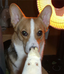 ���̑O�ɁE�E�E